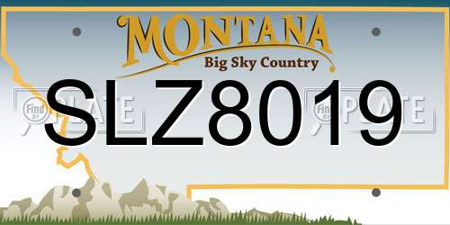 SLZ8019 Montana License Plate