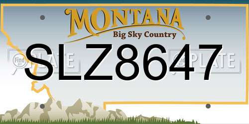 SLZ8647 Montana License Plate