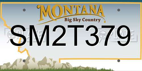 SM2T379 Montana License Plate