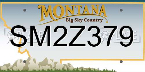 SM2Z379 Montana License Plate