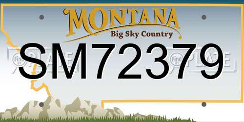 SM72379 Montana License Plate