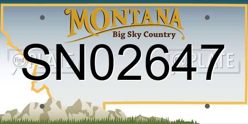 SN02647 Montana License Plate