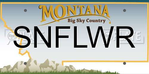 SNFLWR Montana License Plate