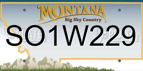 SO1W229 Montana License Plate