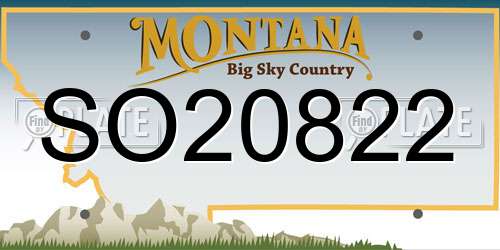 SO20822 Montana License Plate