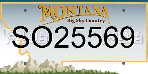 SO25569 Montana License Plate