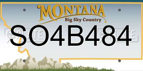 SO4B484 Montana License Plate