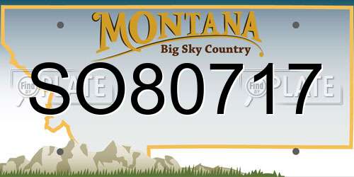 SO80717 Montana License Plate