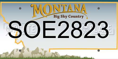 SOE2823 Montana License Plate