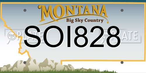 SOI828 Montana License Plate