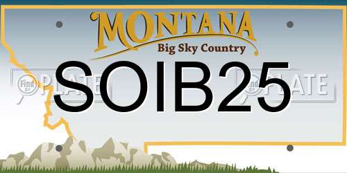 SOIB25 Montana License Plate