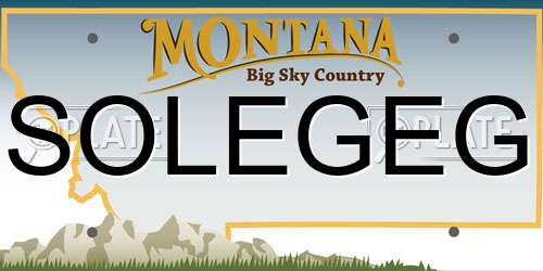 SOLEGEG Montana License Plate