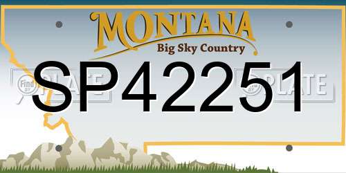SP42251 Montana License Plate