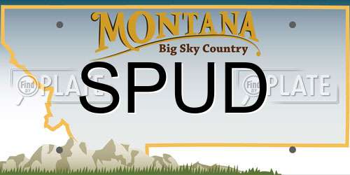 SPUD Montana License Plate
