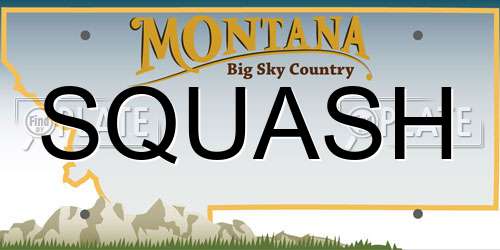 SQUASH Montana License Plate