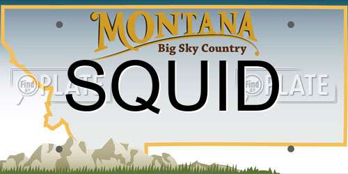 SQUID Montana License Plate