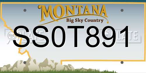 SS0T891 Montana License Plate