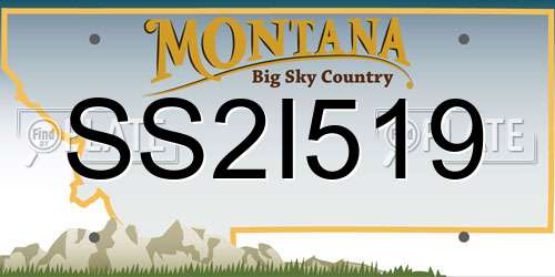 SS2I519 Montana License Plate
