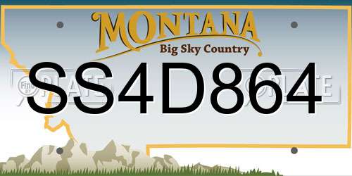 SS4D864 Montana License Plate