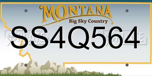SS4Q564 Montana License Plate