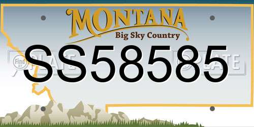 SS58585 Montana License Plate