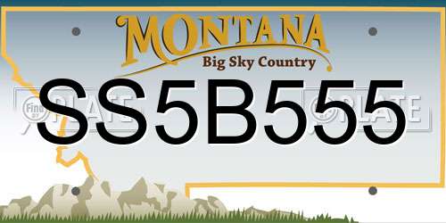 SS5B555 Montana License Plate