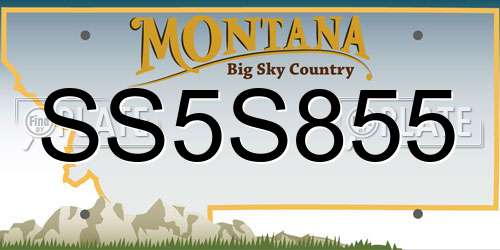 SS5S855 Montana License Plate
