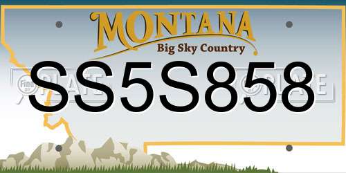 SS5S858 Montana License Plate
