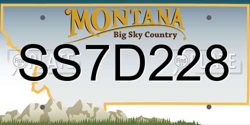 SS7D228 Montana License Plate