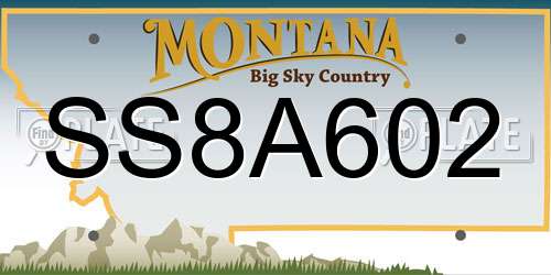 SS8A602 Montana License Plate