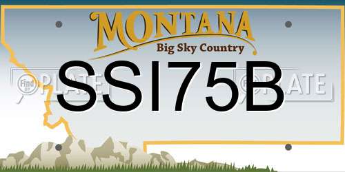 SSI75B Montana License Plate