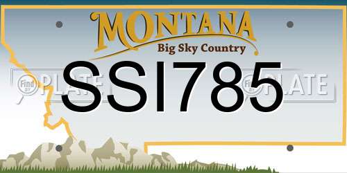 SSI785 Montana License Plate