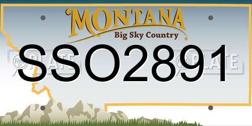 SSO2891 Montana License Plate
