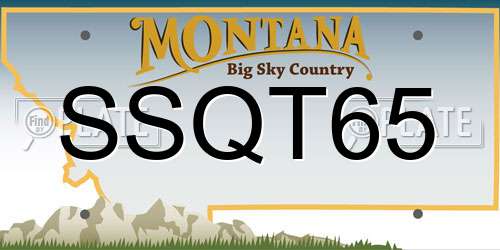 SSQT65 Montana License Plate