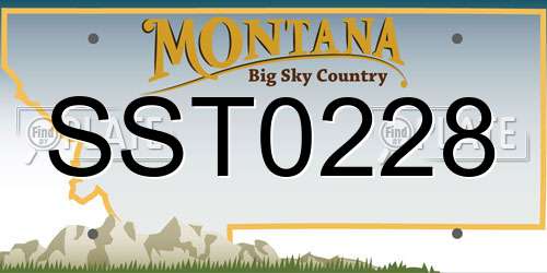 SST0228 Montana License Plate