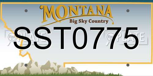 SST0775 Montana License Plate