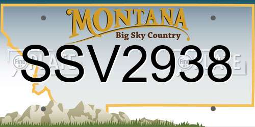 SSV2938 Montana License Plate