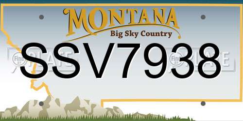 SSV7938 Montana License Plate