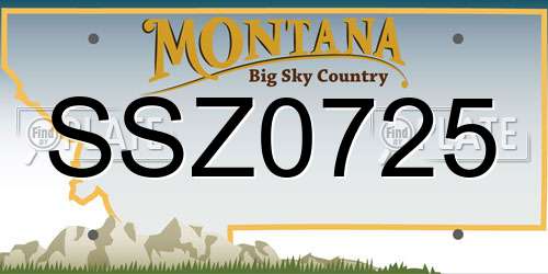 SSZ0725 Montana License Plate