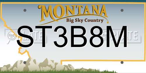 ST3B8M Montana License Plate
