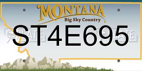 ST4E695 Montana License Plate
