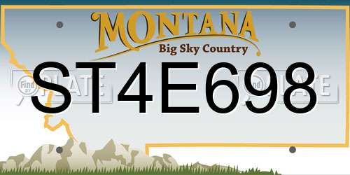 ST4E698 Montana License Plate