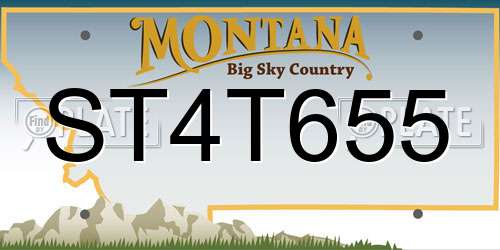 ST4T655 Montana License Plate