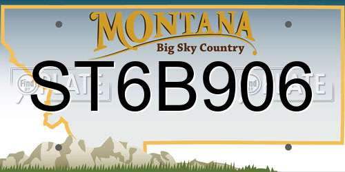 ST6B906 Montana License Plate