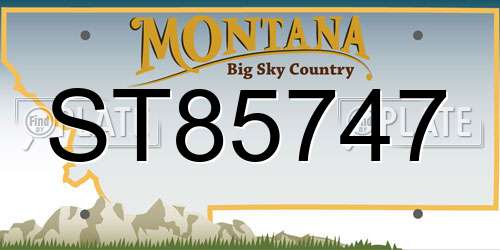 ST85747 Montana License Plate
