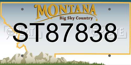 ST87838 Montana License Plate
