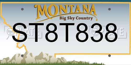 ST8T838 Montana License Plate