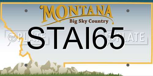 STAI65 Montana License Plate