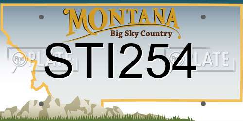 STI254 Montana License Plate