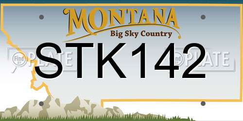 STK142 Montana License Plate